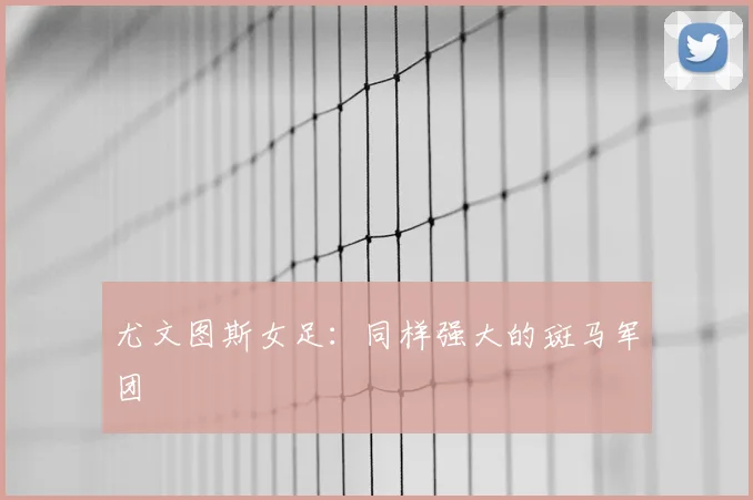 尤文图斯女足:同样强大的斑马军团